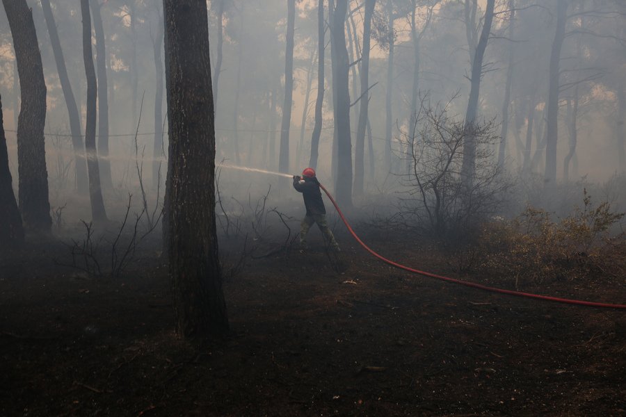 Χορήγηση ενισχύσεων για πληγέντες από πυρκαγιές κατόχους αγροτικών εκμεταλλεύσεων