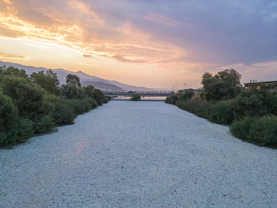 Μέτρα στήριξης των επιχειρήσεων λόγω των νεκρών ψαριών στον Παγασητικό Κόλπο