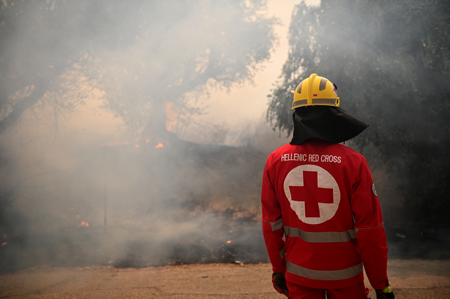 ΑΑΔΕ: Ολοσχερής καταστροφή στα οχήματα, που φυλάσσονται στο Τελωνείο Πάτρας