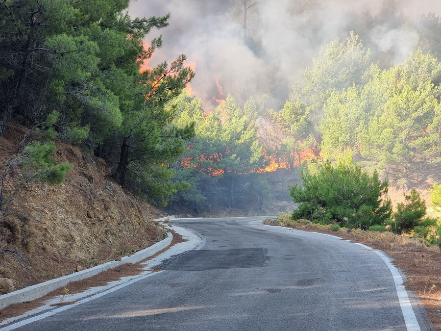 Ειδική πλατφόρμα υποβολής αίτησης για προσωρινή διαμονή πυρόπληκτων της Χίου, στην ιστοσελίδα του υπ. Κλιματικής Κρίσης και Πολιτικής Προστασίας