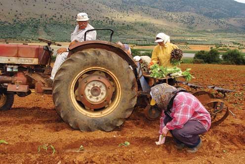 Υπουργείο Αγροτικής Ανάπτυξης: Πληρωμές στους αγρότες - Προκαταβολή (70%) της Βασικής Ενίσχυσης του 2021 από τον ΟΠΕΚΕΠΕ