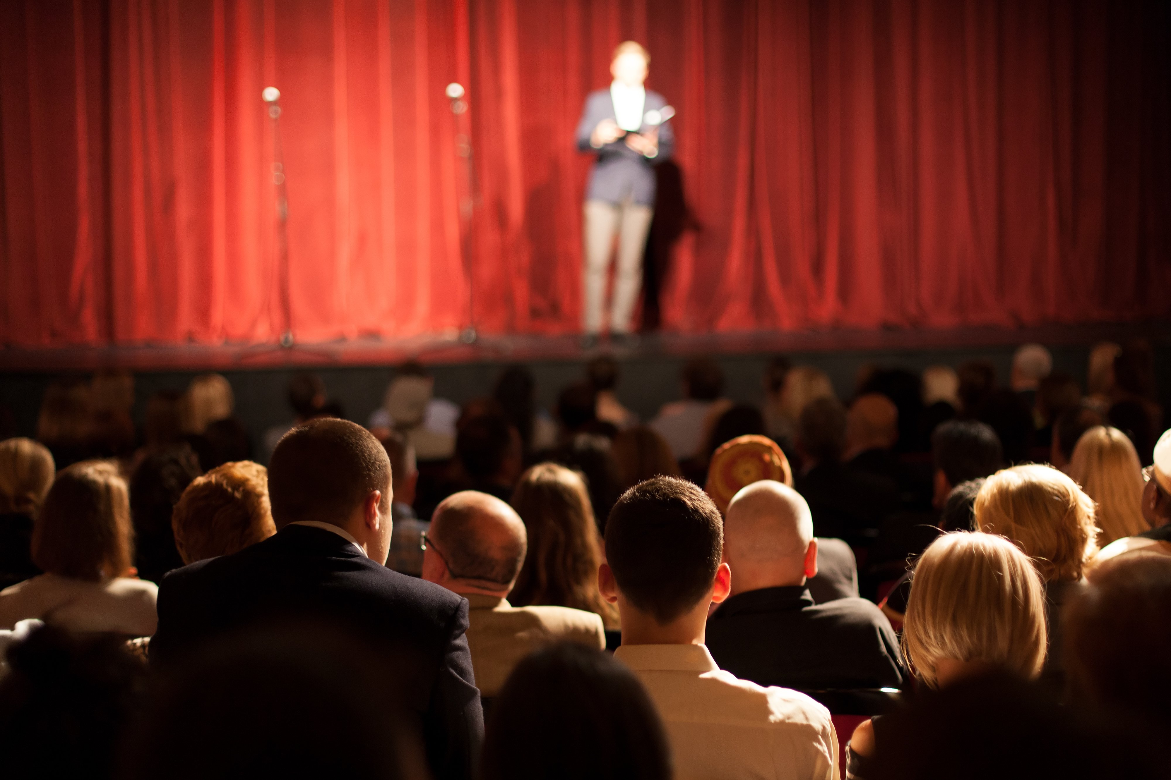 Theatre audience