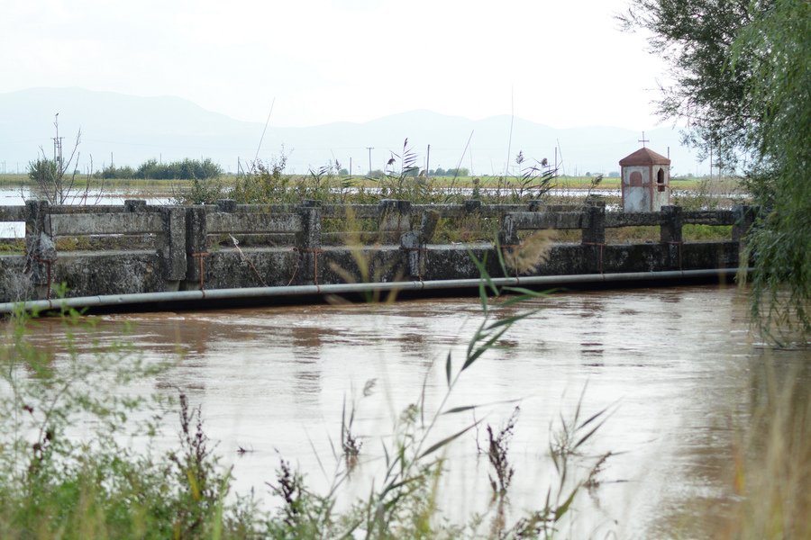 ΕΛΓΑ: Καταβολή αποζημιώσεων μόνο σε παραγωγούς της Θεσσαλίας που έχουν υποστεί ζημιά