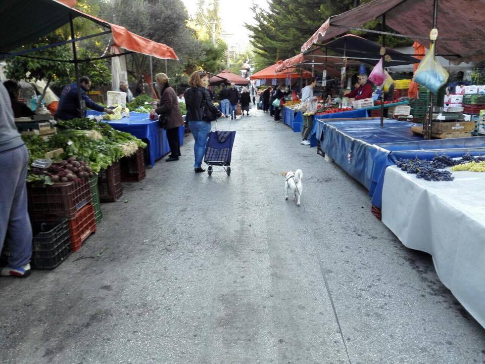 Δήμος Χανίων: Νέου τύπου πάγκοι - σκιάδια στις λαϊκές αγορές της πόλης